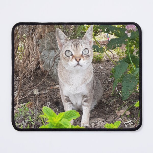 Item preview, Woodland Speedball  designed and sold by Cat-yawns.