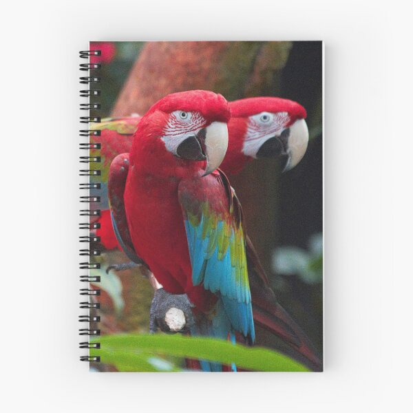 Item preview, Green-Winged Macaw Sisters designed and sold by walkswithnature.