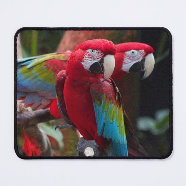 Item preview, Green-Winged Macaw Sisters designed and sold by walkswithnature.
