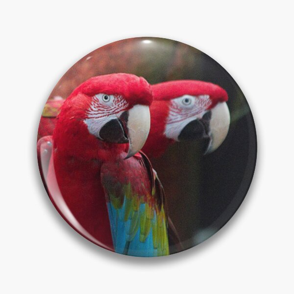 Item preview, Green-Winged Macaw Sisters designed and sold by walkswithnature.