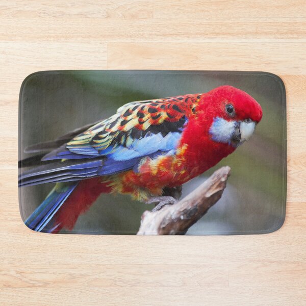 Item preview, Curious Eastern White-Cheeked Rosella Parakeet designed and sold by walkswithnature.