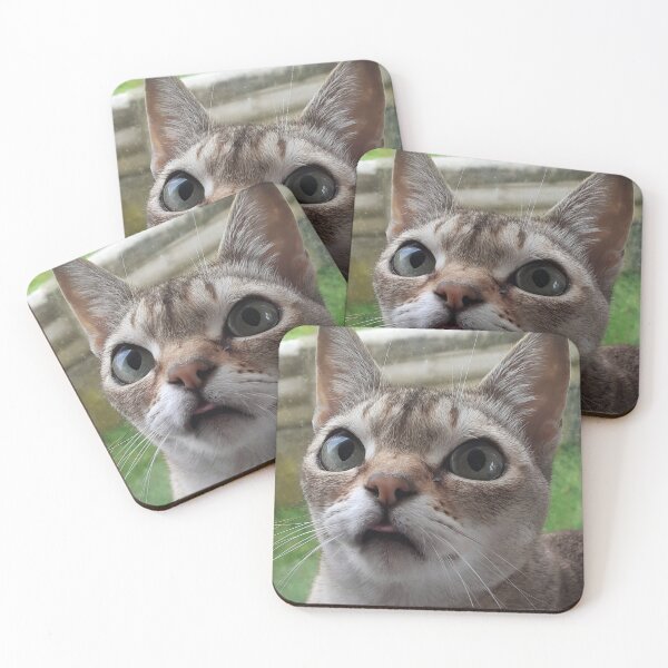 Item preview, Speedball blep designed and sold by Cat-yawns.
