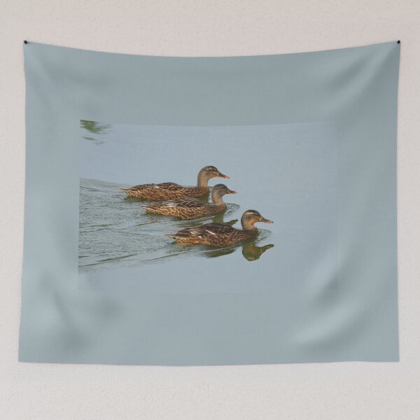 Item preview, Three Mallards going for a swim designed and sold by PaulKPhoto.