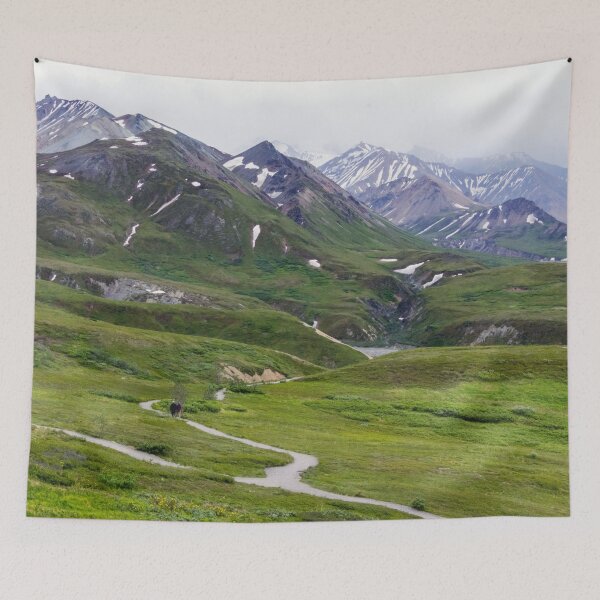 Item preview, Mountain Views in Denali National Park, Alaska designed and sold by SafariByMarisa.