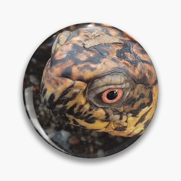 Item preview, Eastern Box Turtle designed and sold by MangoFaceDesign.