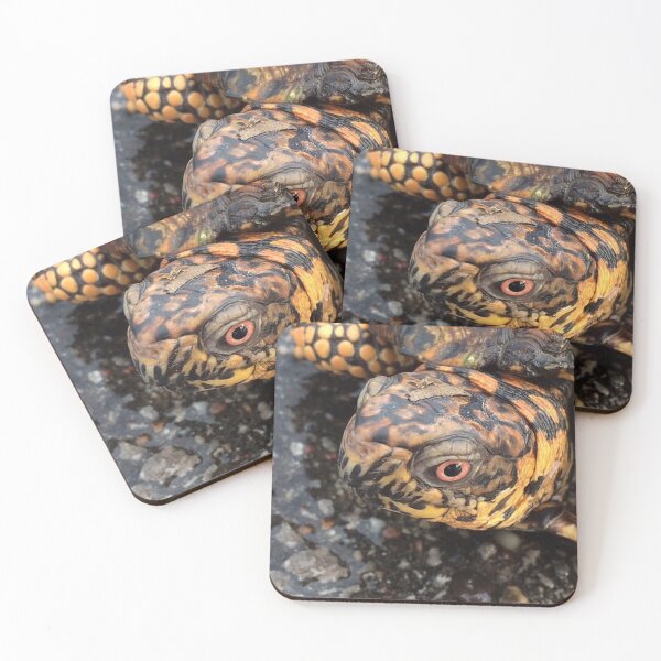 Item preview, Eastern Box Turtle designed and sold by MangoFaceDesign.