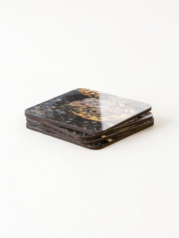 Thumbnail 4 of 5, Coasters (Set of 4), Eastern Box Turtle designed and sold by MangoFaceDesign.