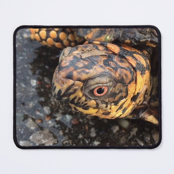 Item preview, Eastern Box Turtle designed and sold by MangoFaceDesign.