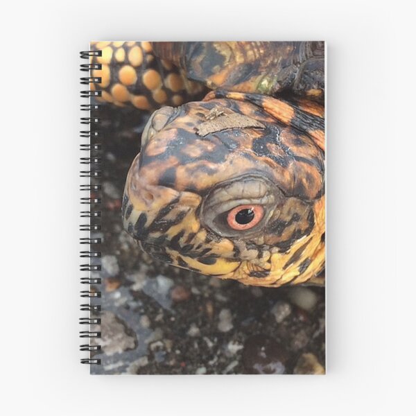 Item preview, Eastern Box Turtle designed and sold by MangoFaceDesign.