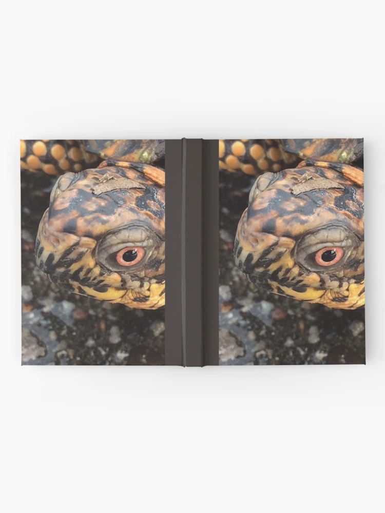 Thumbnail 2 of 3, Journal, Eastern Box Turtle designed and sold by MangoFaceDesign.