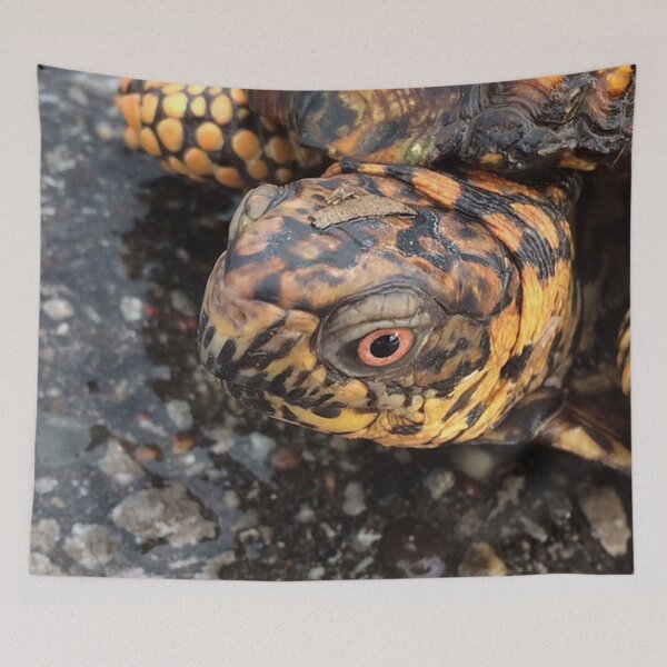 Item preview, Eastern Box Turtle designed and sold by MangoFaceDesign.