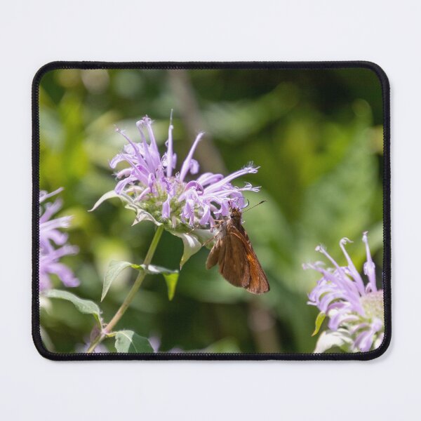 Item preview, Butterfly on purple flower designed and sold by SafariByMarisa.