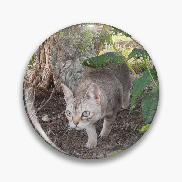 Item preview, Wild Speedball  designed and sold by Cat-yawns.