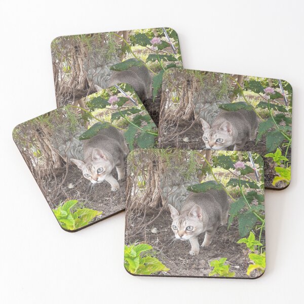 Item preview, Wild Speedball  designed and sold by Cat-yawns.