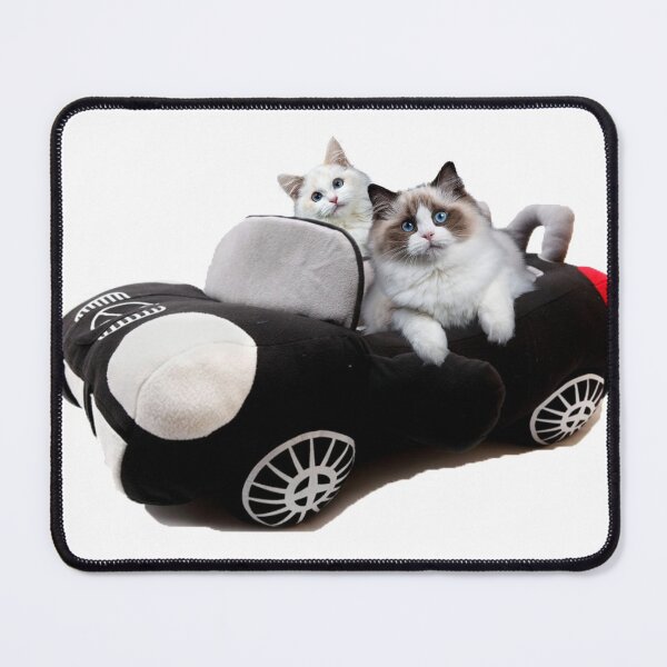Item preview, cat driving a car, funny, cat lover designed and sold by marwan elsaeed.