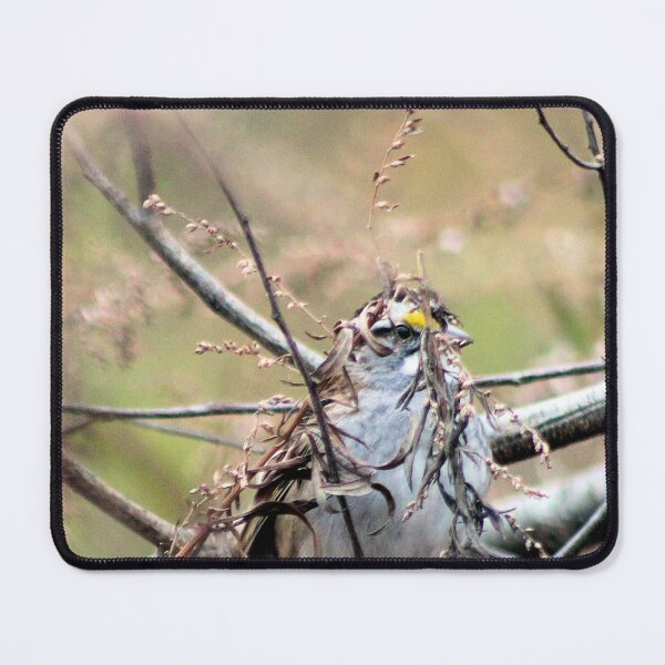 Item preview, PEEKING designed and sold by BOLLA67.