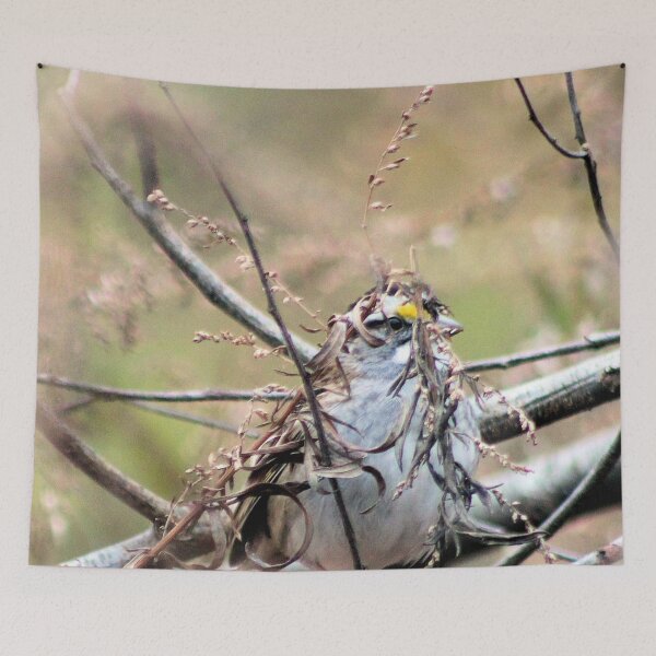 Item preview, PEEKING designed and sold by BOLLA67.