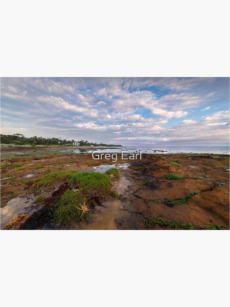 Low Tide at Rickett's Point, Beaumaris by GregEarl