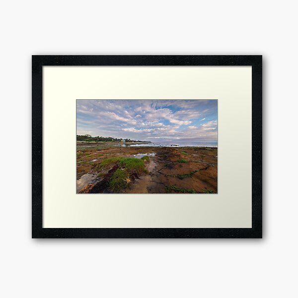Low Tide at Rickett's Point, Beaumaris Framed Art Print