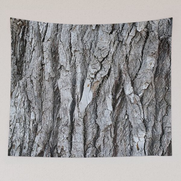 Item preview, Tree Bark pattern photo, bark, tree,  designed and sold by Nostrathomas66.
