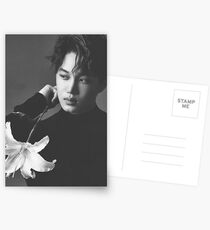 EXO Kai Postkarten
