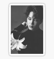 EXO Kai Sticker