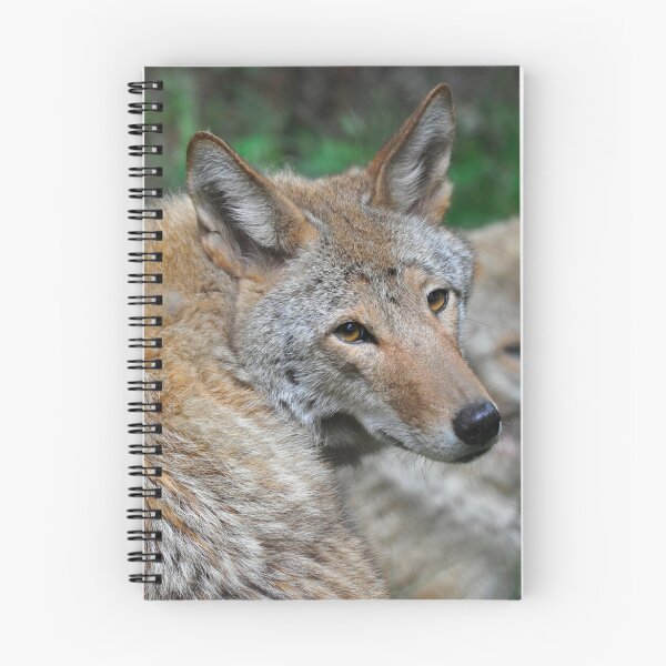 Item preview, Seeing Double designed and sold by Karen Peron.