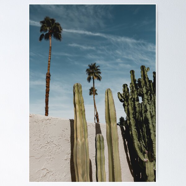 Item preview, Cactus & Palm Trees in Palm Springs, California designed and sold by hughesprintshop.