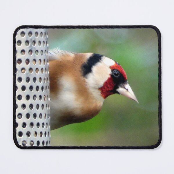 Item preview, goldfinch designed and sold by KathleenDawson.