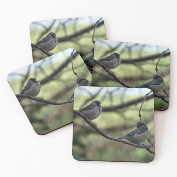 Item preview, blue tits designed and sold by KathleenDawson.