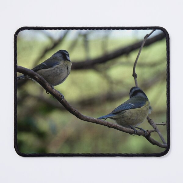 Item preview, blue tits designed and sold by KathleenDawson.