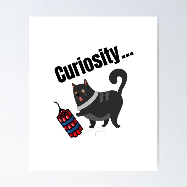 Curiosity Killed The Cat - English Cat Idioms and phrases  Idioms and  phrases, Cat idioms, Curiosity killed the cat