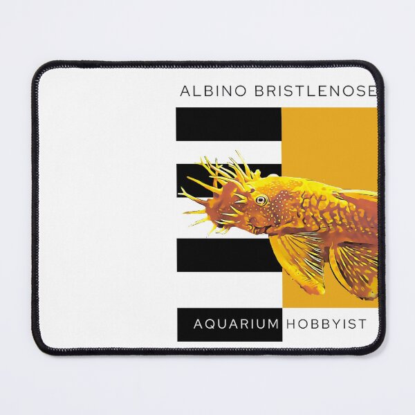 Item preview, Albino Bristlenose designed and sold by GFishy.