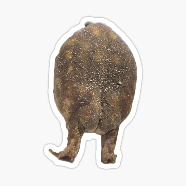 Item preview, Toad Butt designed and sold by Bank-Empty.