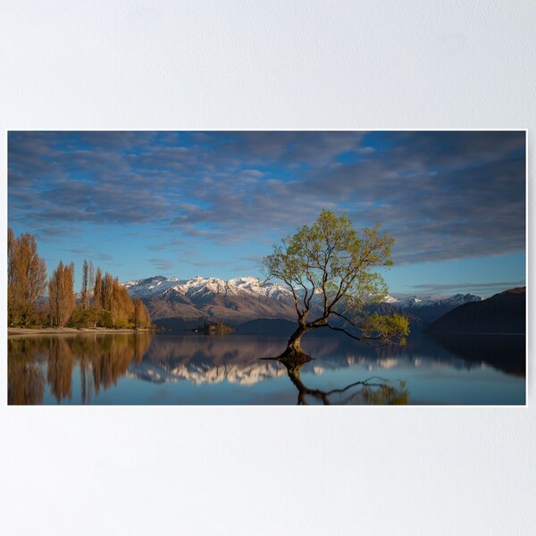 Item preview, That Wanaka Tree - New Zealand designed and sold by Lorraine Creagh.