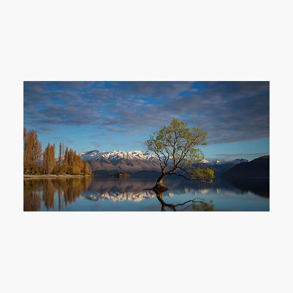 Aperçu de l'œuvre That Wanaka Tree - Nouvelle-Zélande créée et vendue par Lorraine Creagh.