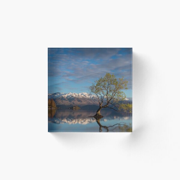 Item preview, That Wanaka Tree - New Zealand designed and sold by Lorraine Creagh.
