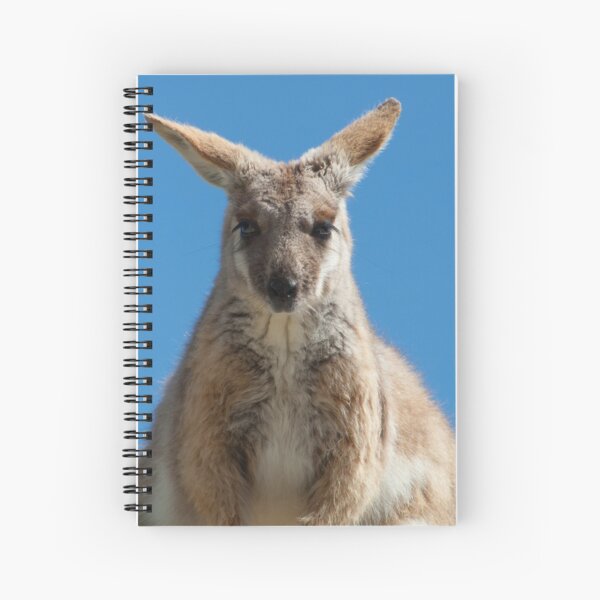 Item preview, YELLOW-FOOTED ROCK WALLABY designed and sold by DPalmer.