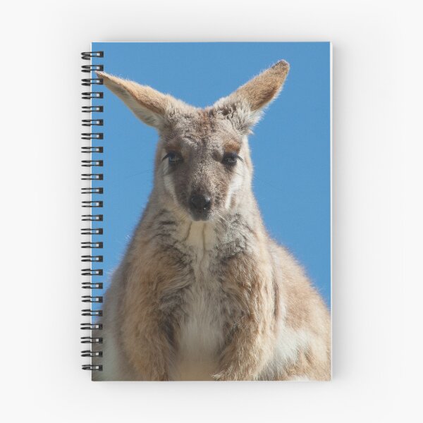 Item preview, YELLOW-FOOTED ROCK WALLABY designed and sold by DPalmer.