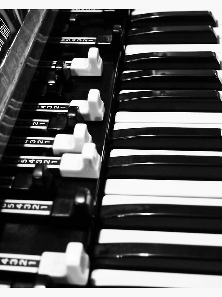 Hammond B3 Organ by douglasewelch