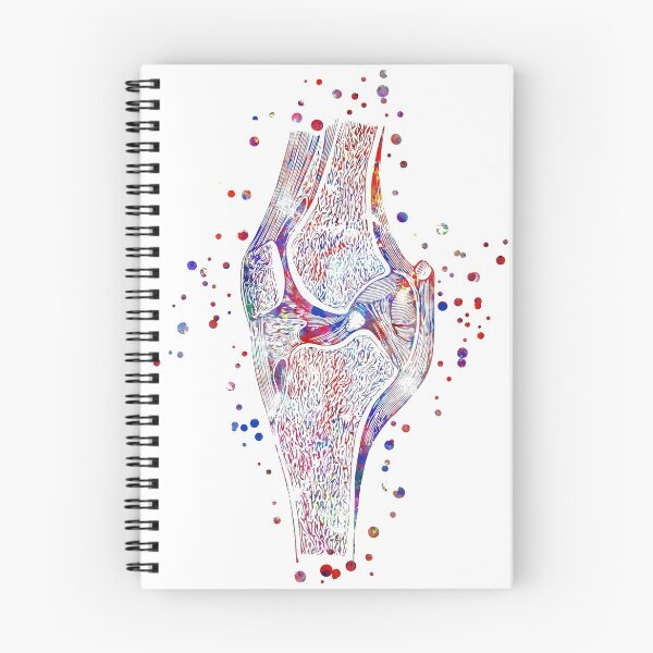 Item preview, Knee Bone Print flowers Human Anatomy Knee Poster designed and sold by Roadbubble.