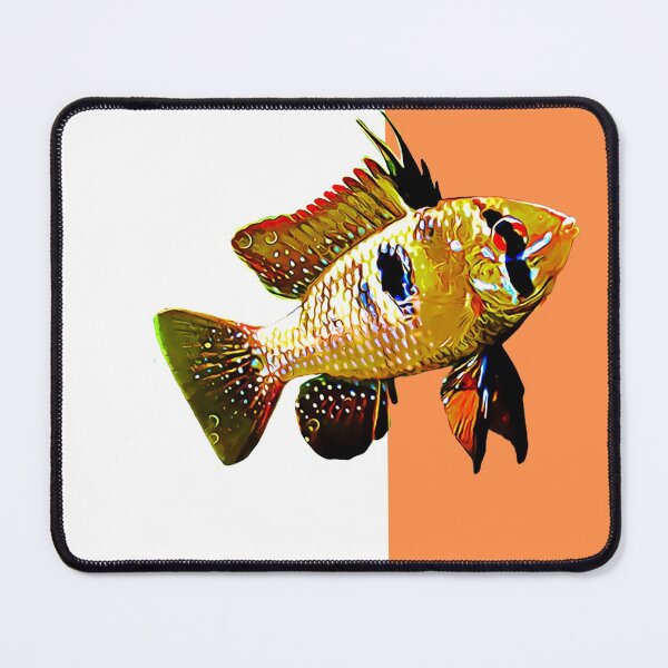 Item preview, German Ram Cichlid designed and sold by GFishy.