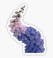 FLUME Sticker Sticker