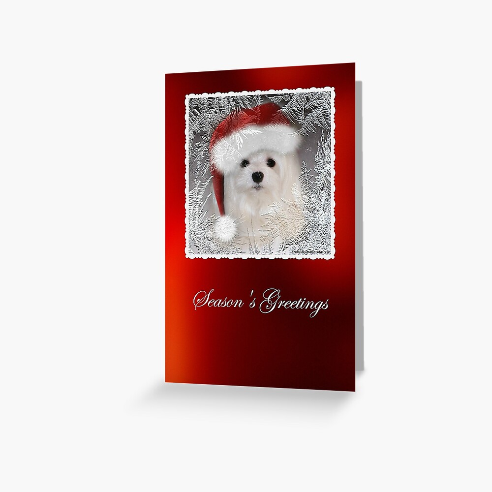 "Snowdrop the Maltese Christmas Card" Greeting Card for Sale by