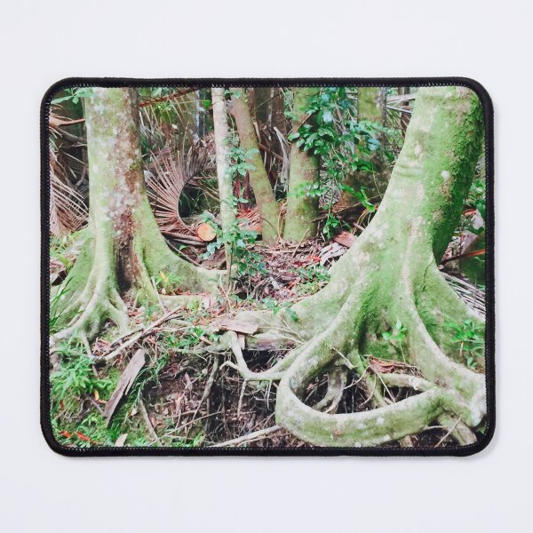 Item preview, Rainforest Walk, Buderim, Queensland, Australia designed and sold by Jaydee001.