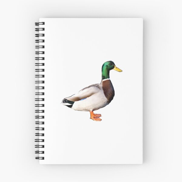 Item preview, Mallard Icon designed and sold by artshootfish.