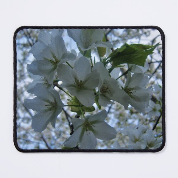 Item preview, Wild cherry blossom designed and sold by Faerieglen.