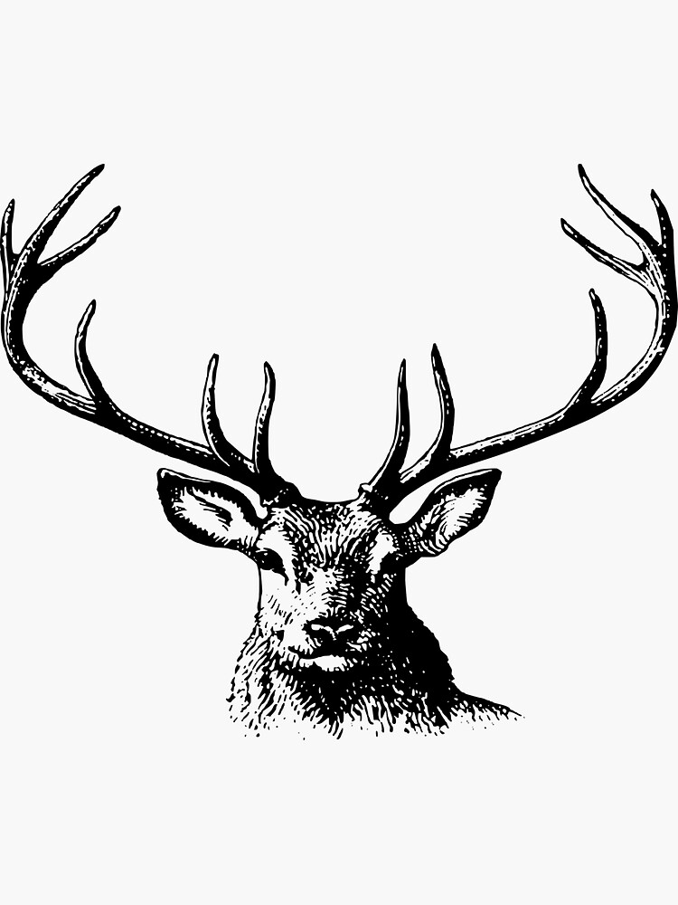 "Black and white deer" Sticker for Sale by MrSlava Redbubble