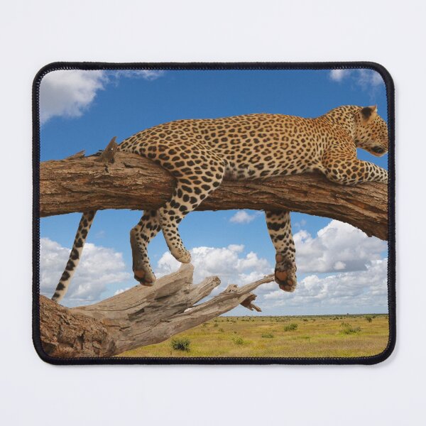 Item preview, Leopard on the Tree Print Design designed and sold by DegoPine  Art Studio.