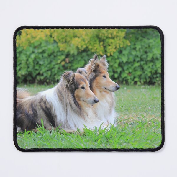 Item preview, Rough Collie Side by Side designed and sold by KarenWoodArt.